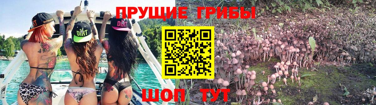 Ликино-Дулёво  Псилоцибиновые грибы мицелий  Вход с VPN  Галлюциногенные грибы мухоморы 