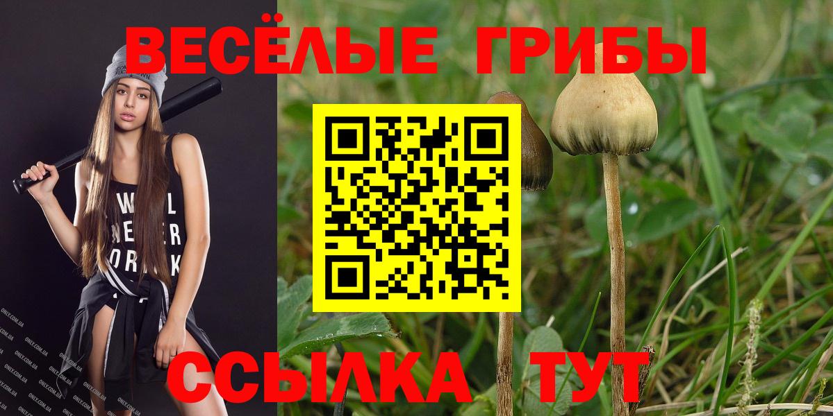 Псилоцибиновые грибы мицелий Ликино-Дулёво